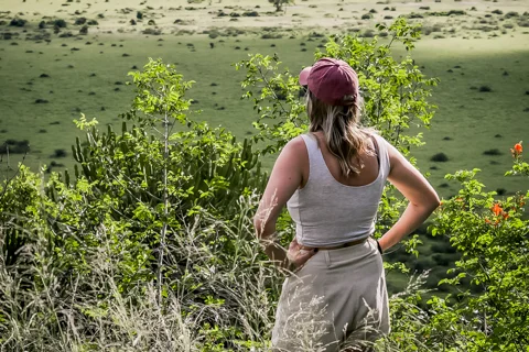 Mfafa Safaris