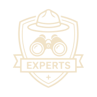 Experts